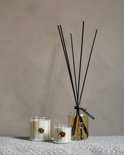 Diffuseur à roseaux Stria Aurea - 500 ml